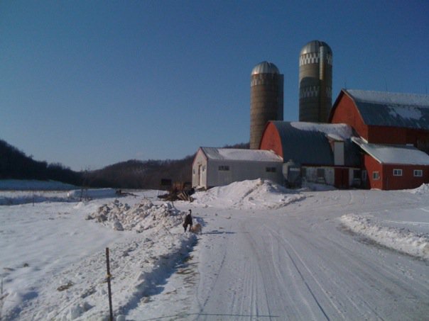 Our Winter Specials are cool!